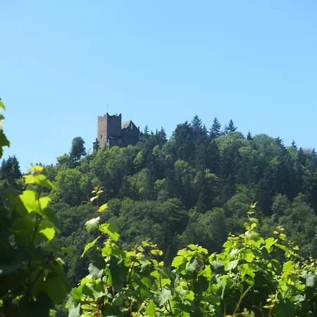 Hotel Feriendomizil Am Lindenplatz 3*