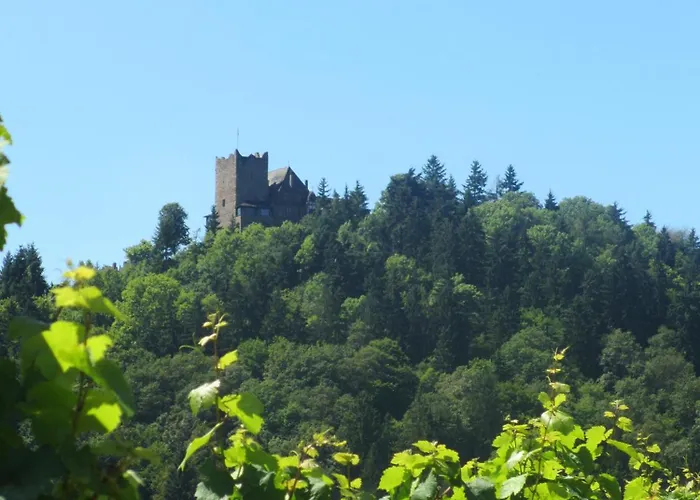 فندق Feriendomizil Am Lindenplatz 3*