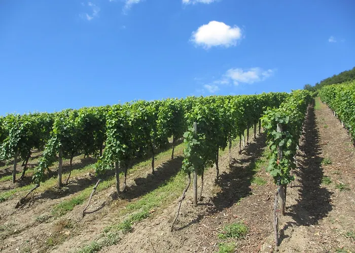 Hotel Feriendomizil Am Lindenplatz 3*